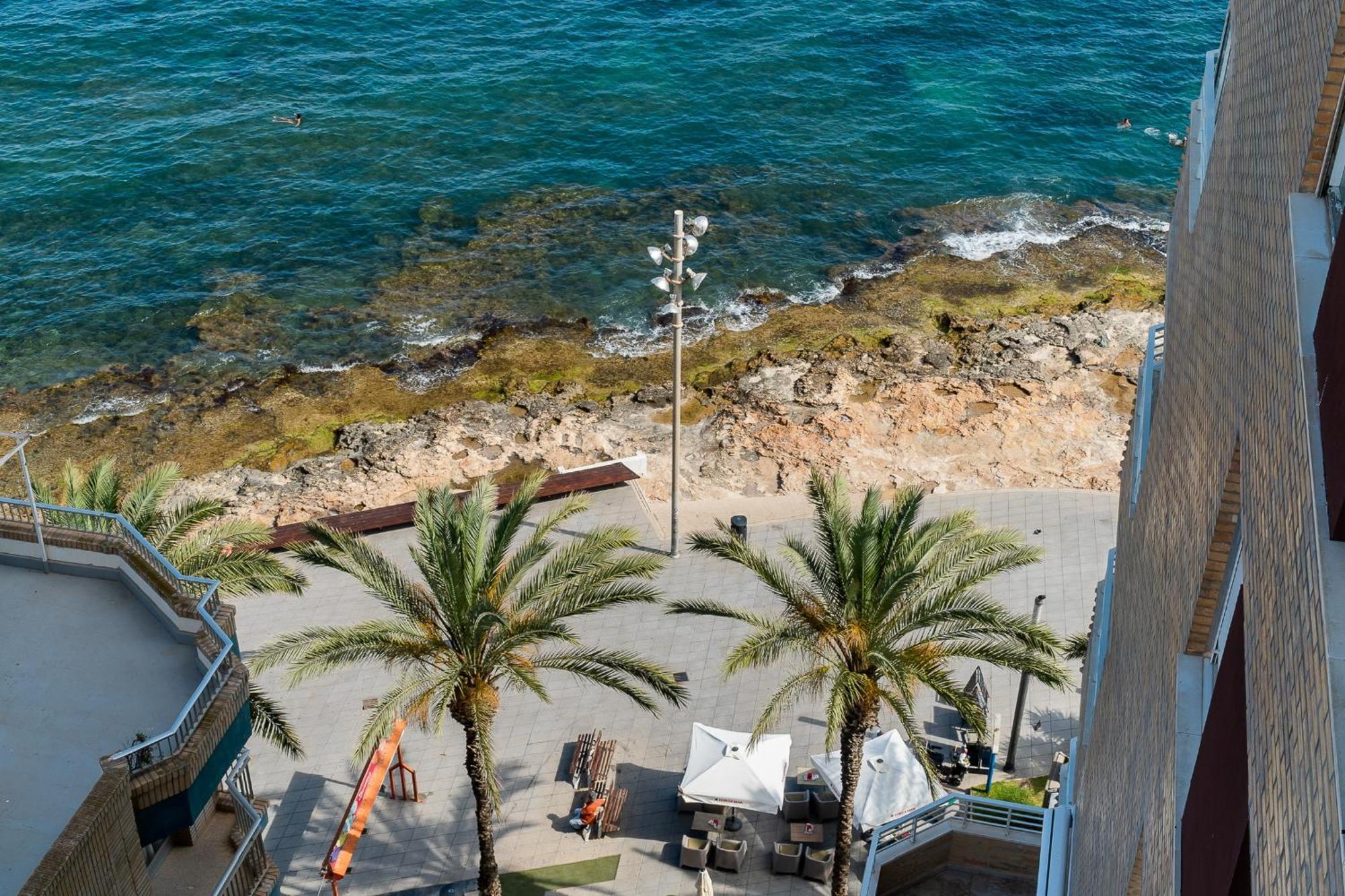 La Paz Lägenhet Torrevieja Exteriör bild